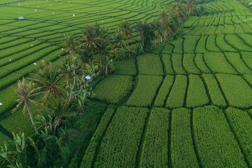 pexels-thanhhoa-tran-640546-7206100